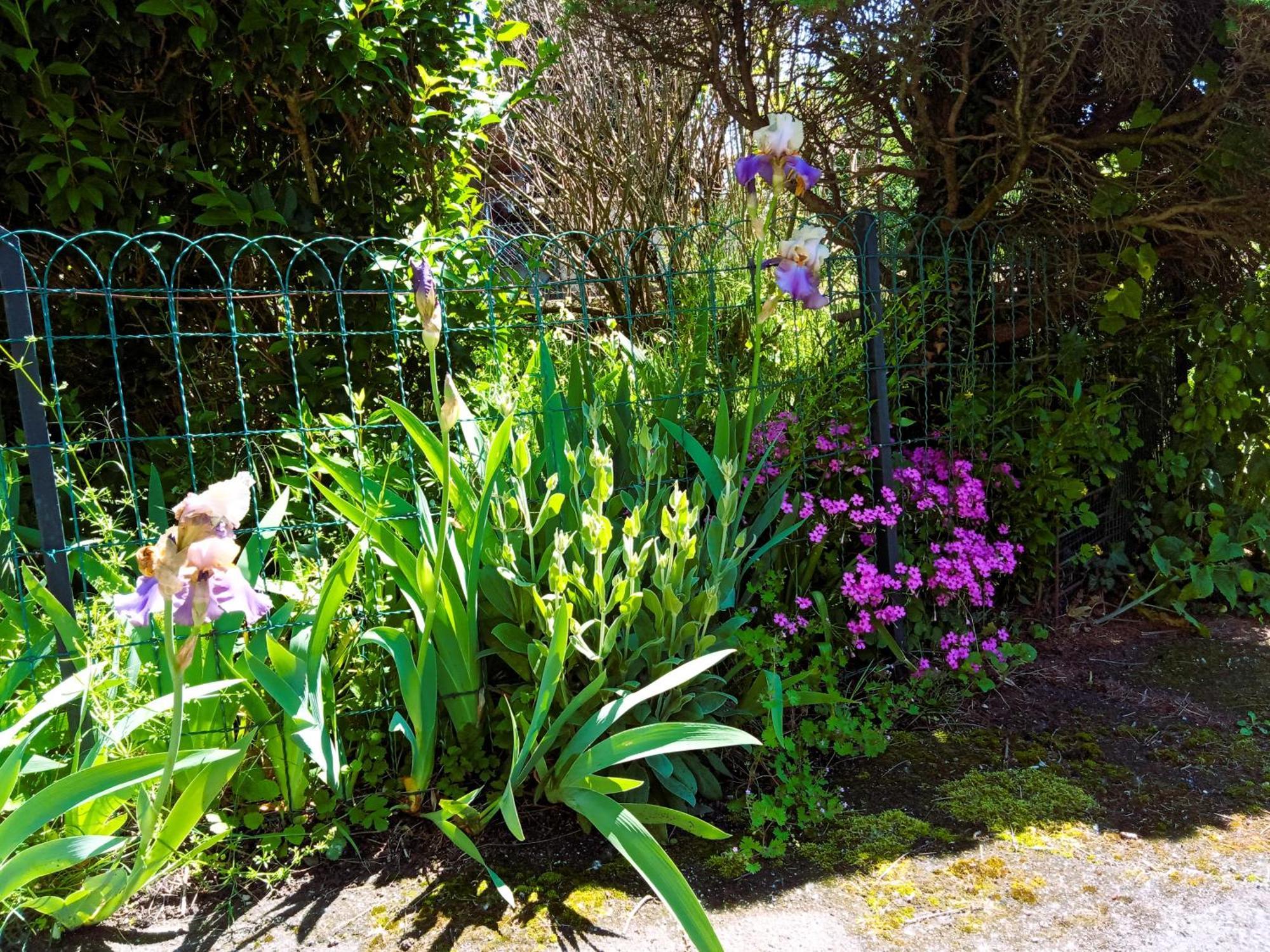 Rosalie Cottage ボールペール エクステリア 写真